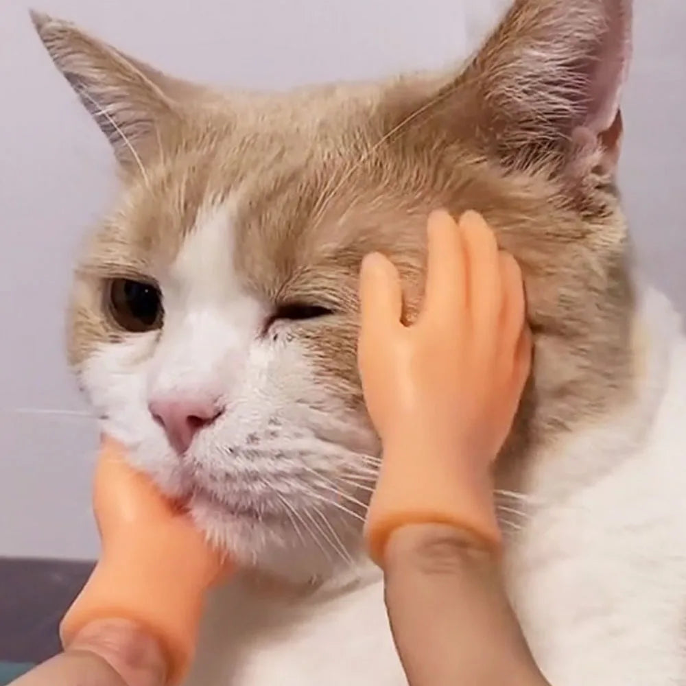 Cat fun toy Small gloves Cat finger Sleeve mini hand model silicone small gloves Cat massage tools Pet cat toy Halloween gift Beauty World Shop