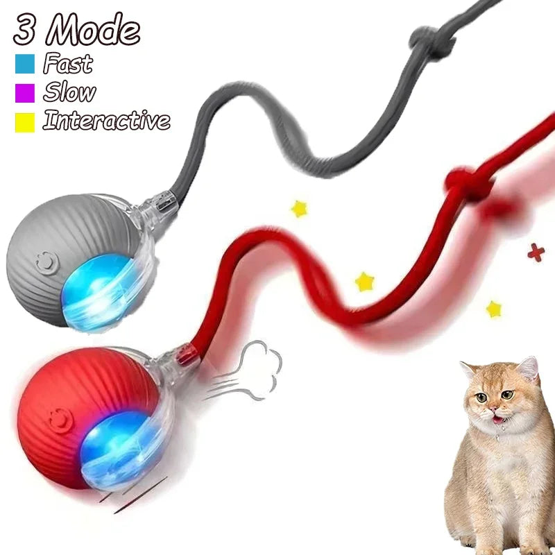 1~2Pcs Cat Interactive Ball Toys Automatic Rolling Ball Faux Tail Rechargeable Smart Pet Electric Toy Cat Training Imitate Mouse