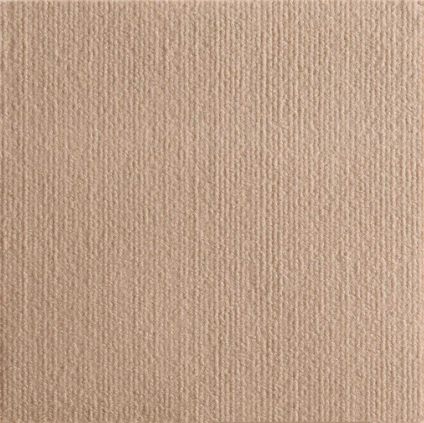Self-Adhesive Anti Cat Scratch Sofa Mat Trimmable Cat Carpet Mat Prevent Cat Scratcher Furniture Couch Corner Wall Protector