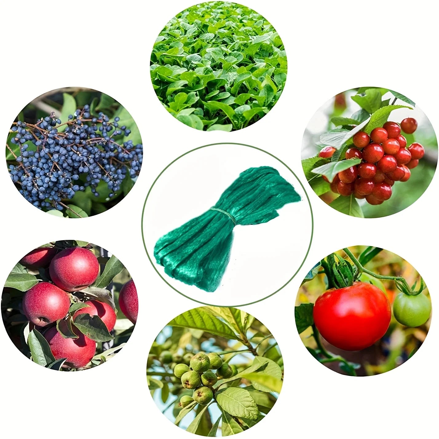 1pc Garden Netting and Bird Protection, for Vegetables Plants Flower And Fruit Trees, Trellis Gird Pest Fencing Net Stops, Beauty World Shop