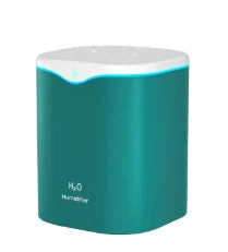 2000ML USB Air Humidifier Double Spray Port Essential Oil Aromatherapy Humificador Cool Mist Maker Fogger Purify for Home Office Beauty World Shop