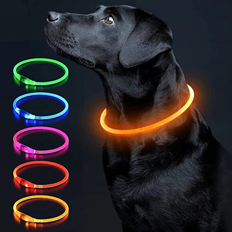 Luminous Dog Collar Light Charge Cat Necklace, Led Fashion Flashing DIY Glowing Safety Collar for Dogs Nighttime Pet Accessorie Beauty World Shop