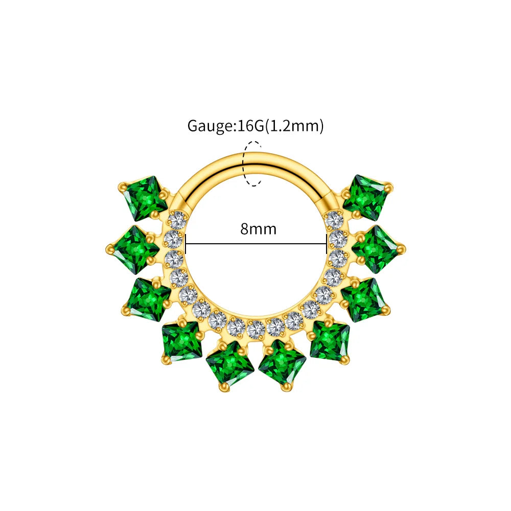 Right Grand ASTM F136 Titanium 16G CZ Hinged Clicker Segment Hoop Ring 8mm/10mm Daith Helix Earring Septum Nose Piercing Jewelry Beauty World Shop