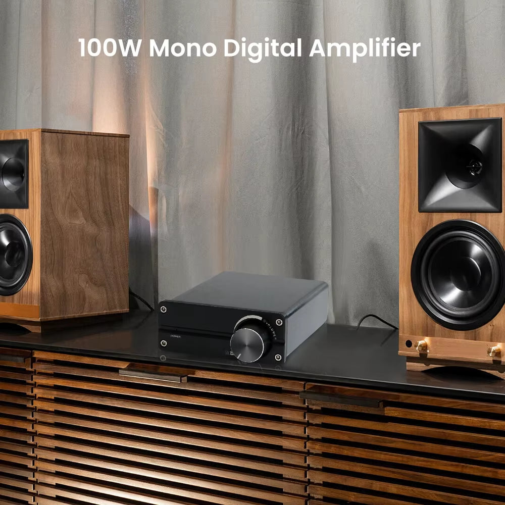 100W TPA3116 Subwoofer Amplifier Class D Mini Power Amplifier Audio Amplificador Mono Amp for Home Passive Speaker