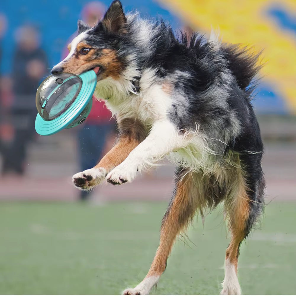 Dog Toy for Small Medium Large Dogs Cats Fly Disk Interactive Food Dispenser Improve IQ Slow Feeder Training Toys Pet Supplies
