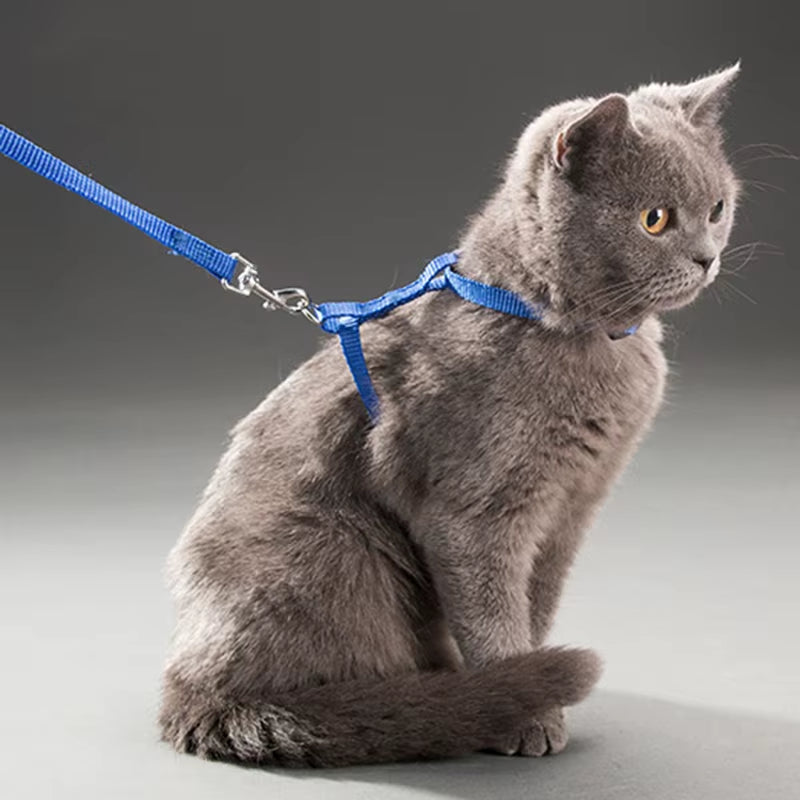5 Color Adjustable Pet Cat Collar for Cats Cozy Nylon Rabbit Kitten Kedi Harness Leash Set Dog Cat Accessories Products for Pets