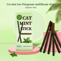 6Pcs