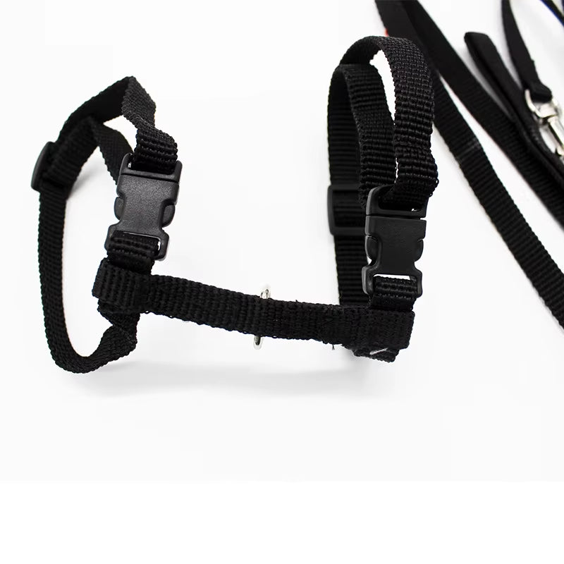 5 Color Adjustable Pet Cat Collar for Cats Cozy Nylon Rabbit Kitten Kedi Harness Leash Set Dog Cat Accessories Products for Pets