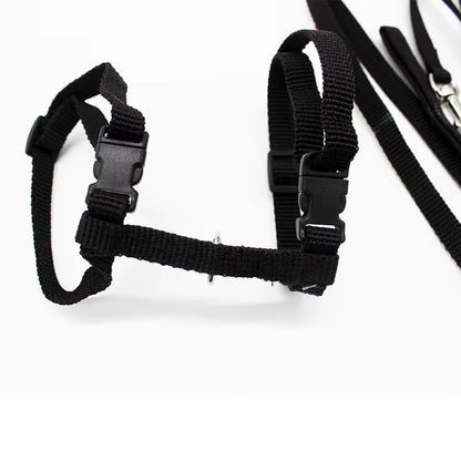 5 Color Adjustable Pet Cat Collar for Cats Cozy Nylon Rabbit Kitten Kedi Harness Leash Set Dog Cat Accessories Products for Pets