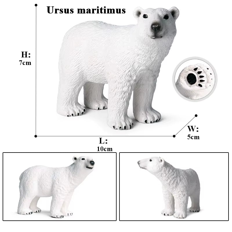 Arctic South Pole Animals Simulation Polar Bear Ursus Maritimus Action Figures Solid PVC Model Figurine Kid Toy Gift