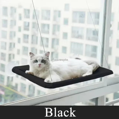 Cat Hammock Window Bed Cat Suction Cup Window Hammock Sunny Window Seat Nest Pet Accessories Hanging Cat Bed Cat Window Hammock