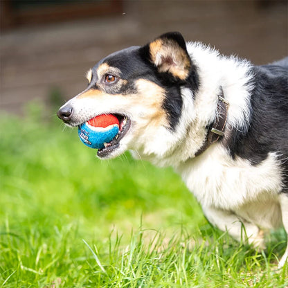 Pet Dog Squeaky Tennis Ball Interactive Dog Toys High Bounce Sound Rubber Ball for Small Medium Dogs Training Outdoor Play Ball