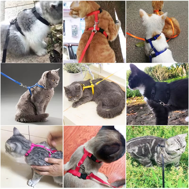 5 Color Adjustable Pet Cat Collar for Cats Cozy Nylon Rabbit Kitten Kedi Harness Leash Set Dog Cat Accessories Products for Pets