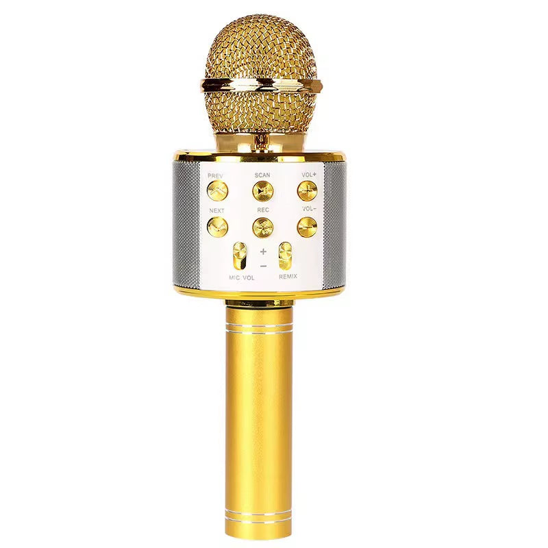 Portable Handheld Wireless Karaoke Microphone Speaker Microphone for Kids Music Player Singing Recorder KTV