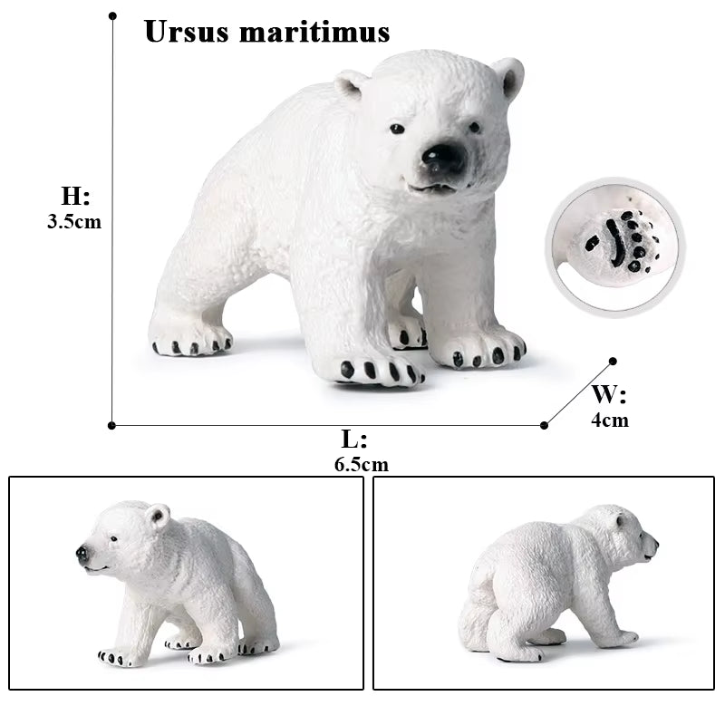 Arctic South Pole Animals Simulation Polar Bear Ursus Maritimus Action Figures Solid PVC Model Figurine Kid Toy Gift