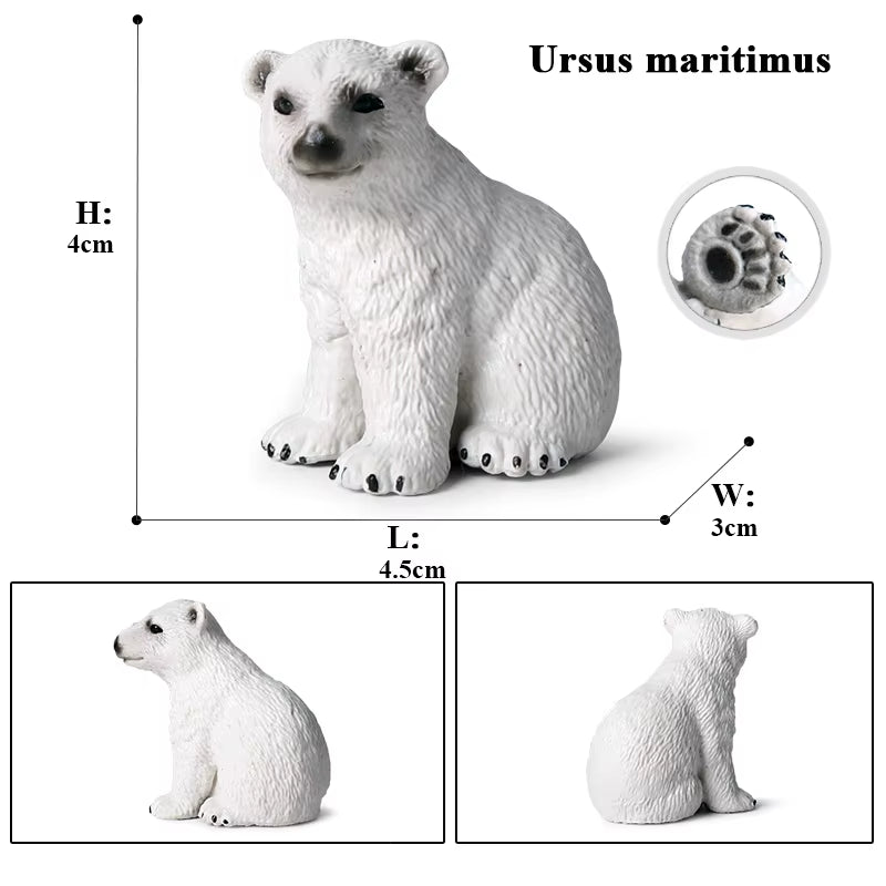 Arctic South Pole Animals Simulation Polar Bear Ursus Maritimus Action Figures Solid PVC Model Figurine Kid Toy Gift