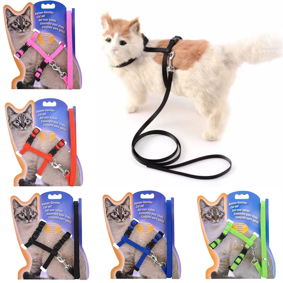 5 Color Adjustable Pet Cat Collar for Cats Cozy Nylon Rabbit Kitten Kedi Harness Leash Set Dog Cat Accessories Products for Pets