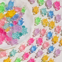 20Pcs