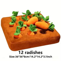 12Pcs Carrot