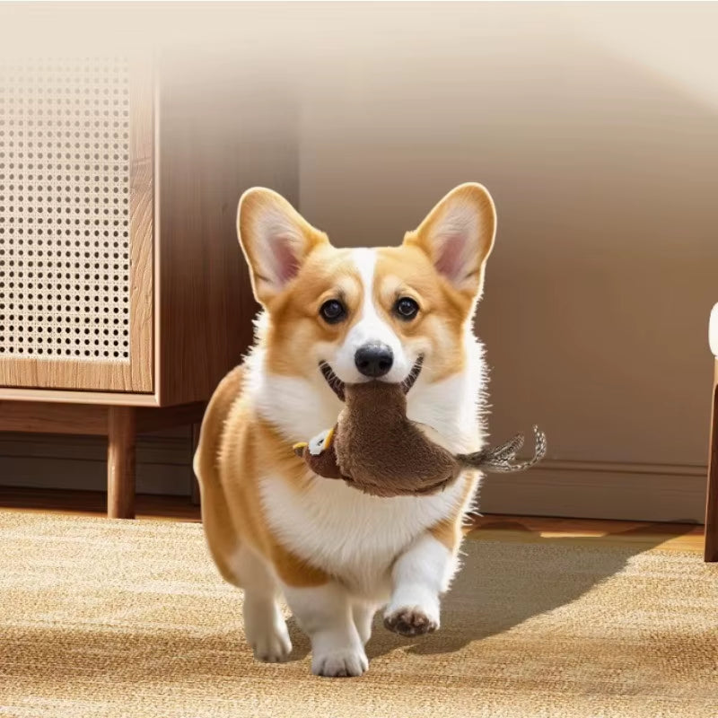 "Rechargeable Flapping Bird Cats Toy | Interactive Plush with Motion Sensor & Dual Sounds, Safe Chew Toy for Indoor Dogs/Cats"