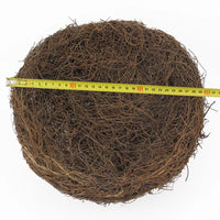 20Cm