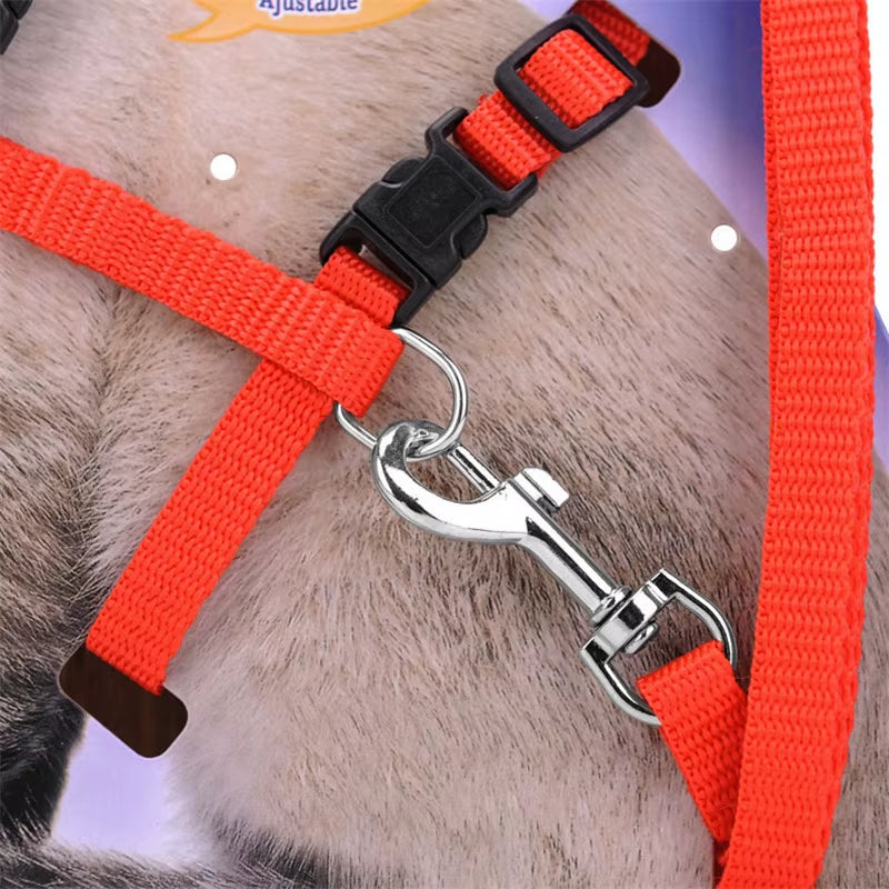 5 Color Adjustable Pet Cat Collar for Cats Cozy Nylon Rabbit Kitten Kedi Harness Leash Set Dog Cat Accessories Products for Pets