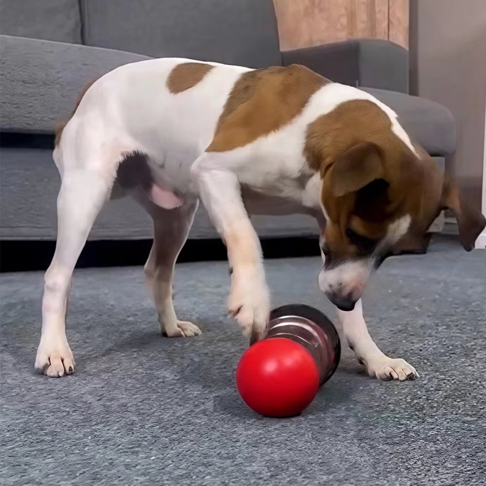 Interactive Dog Toy for Small Medium Large Dogs Cats Treat Dispenser Leaking Food Slow Feeder Pets Ball Toys Labrador Supplies