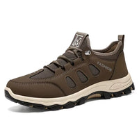 B-Jy161-Brown