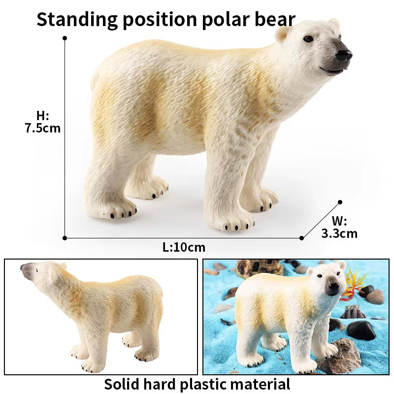 Arctic South Pole Animals Simulation Polar Bear Ursus Maritimus Action Figures Solid PVC Model Figurine Kid Toy Gift