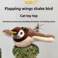Sparrow