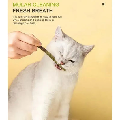 6Pcs Natural Matatabi Cat Stick Mint Caught Bite Excited Rods Silvervine for Cat Teeth Cleaning Treating Pet Supply Cat Toys