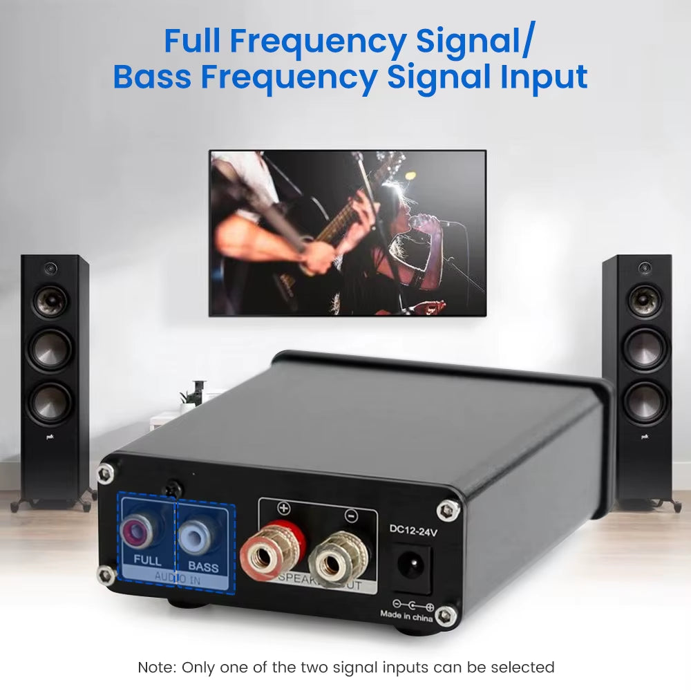 100W TPA3116 Subwoofer Amplifier Class D Mini Power Amplifier Audio Amplificador Mono Amp for Home Passive Speaker