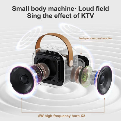 Professional Singing Bluetooth $peaker ColumnSpeaker High-end Ktv Karaoke Microphone Bluetooth Audio Wireless Mic Beauty World Shop