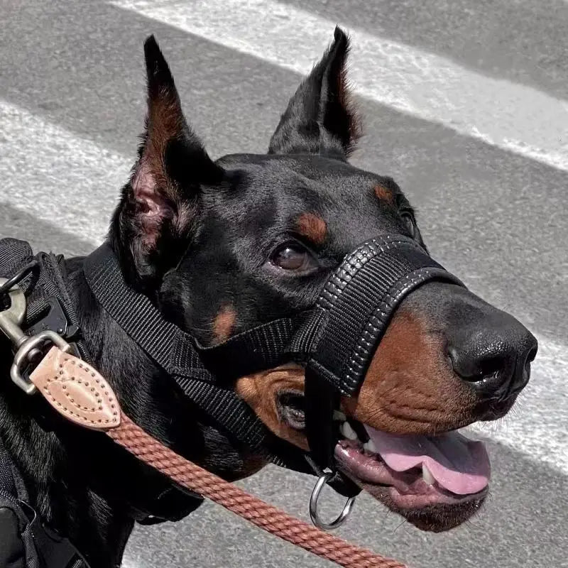Dog Muzzle Anti-Bite And Anti-barking Outdoor Dog Walking Anti-Licking And Eating Mouth Cover Husky Small Medium And Large Dogs Beauty World Shop