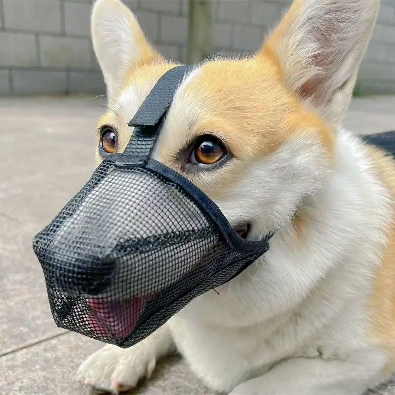2026 NEW Dog Mouth Cover Mesh Large Dog Breathable Mesh Anti-eating Barking Golden Retriever Mouth Cage Bite-proof Pet Mask Beauty World Shop