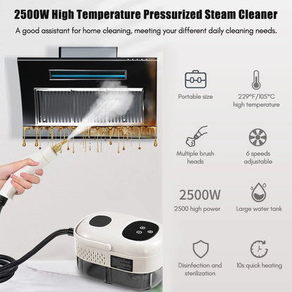 2500W High Pressure High Temperature Household Intelligent Steam Cleaner Air Conditioner Kitchen Car Steam Cleaner 220V/110V Beauty World Shop