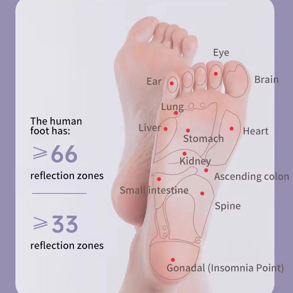1PCS Portable Dual Foot Massage Roller Cat Claw Foot Therapy Foot Massage Instrument Relaxation Point Stimulation Magnetic Rolle Beauty Trend Shop