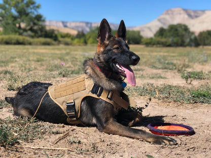 Military Large Dog Harness Training Pet Vest for French Bulldog German Shepherd Malinois Tactical Harnesses For Dogs Accessories Beauty World Shop