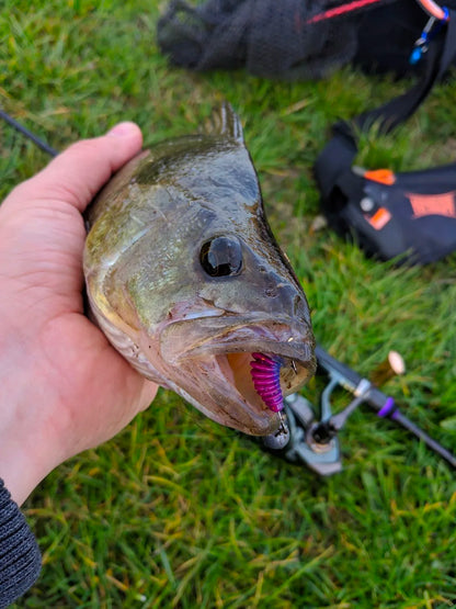 2023 Supercontinent worm bait soft bait Tanta 49mm 65mm fishing lures Pesca carp fishing bass lure Isca artificial PVA Beauty World Shop