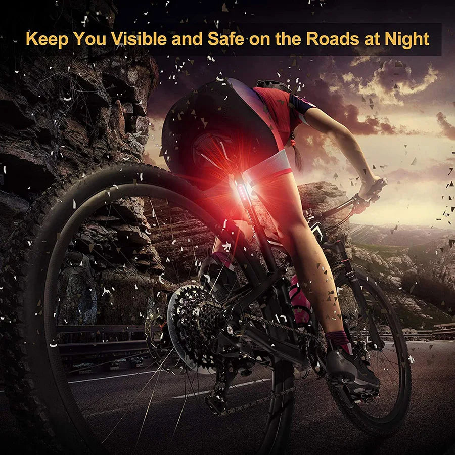 Bicycle Rear Lights USB Rechargeable Bike Tail Light Cycling Taillights Flashing 4 Modes for Night Riding Bike Light Back Lamp Beauty World Shop