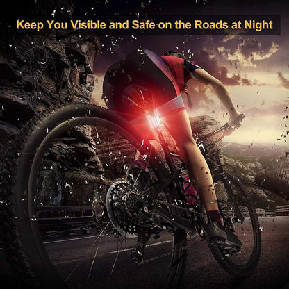 Bicycle Rear Lights USB Rechargeable Bike Tail Light Cycling Taillights Flashing 4 Modes for Night Riding Bike Light Back Lamp Beauty World Shop