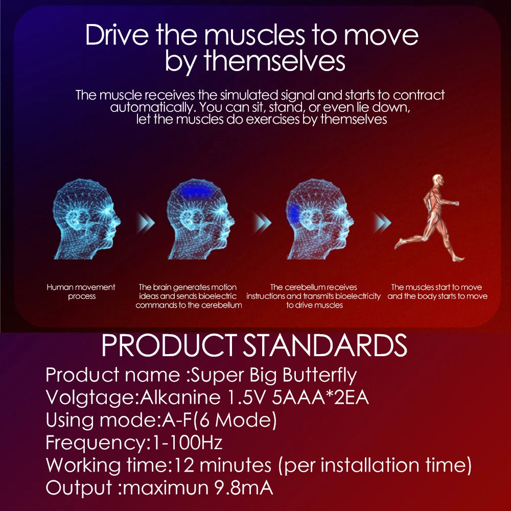 EMS Muscle Stimulator Abdominal Muscle Massager Hip Training Fitness Fat Burning Buttocks Arm Abdomen Trainer Apparatus Slimming Beauty World Shop