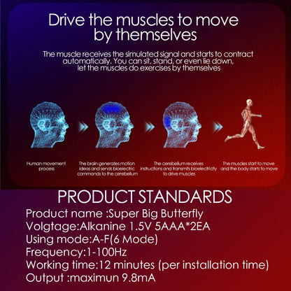 EMS Muscle Stimulator Abdominal Muscle Massager Hip Training Fitness Fat Burning Buttocks Arm Abdomen Trainer Apparatus Slimming Beauty World Shop