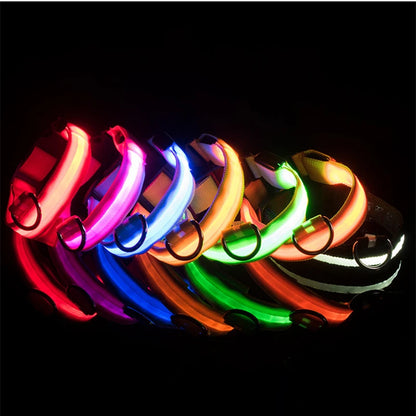 Usb Charging Glowing Dog Collar With Pendant Detachable Luxury Led Light Bright For Small Dogs Cat Night Safety Collar Wholesale Beauty World Shop