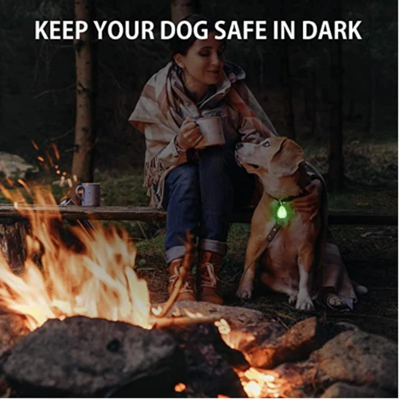 LED Glowing Pendant Flashlight Dog Cat Collar Pet Leads Glow  Accessories  Bright Necklace Luminous Collar  Night Safety Decor Beauty World Shop