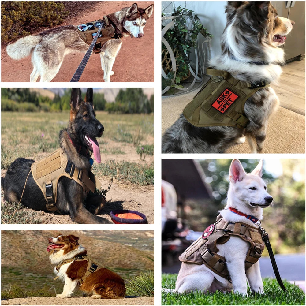 Military Large Dog Harness Training Pet Vest for French Bulldog German Shepherd Malinois Tactical Harnesses For Dogs Accessories Beauty World Shop