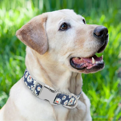 Adjustable Nylon Dog Collar Personalized Dogs Cat ID Collars With Engraved Name Buckle Anti-lost for Small Medium Large Dogs Beauty World Shop
