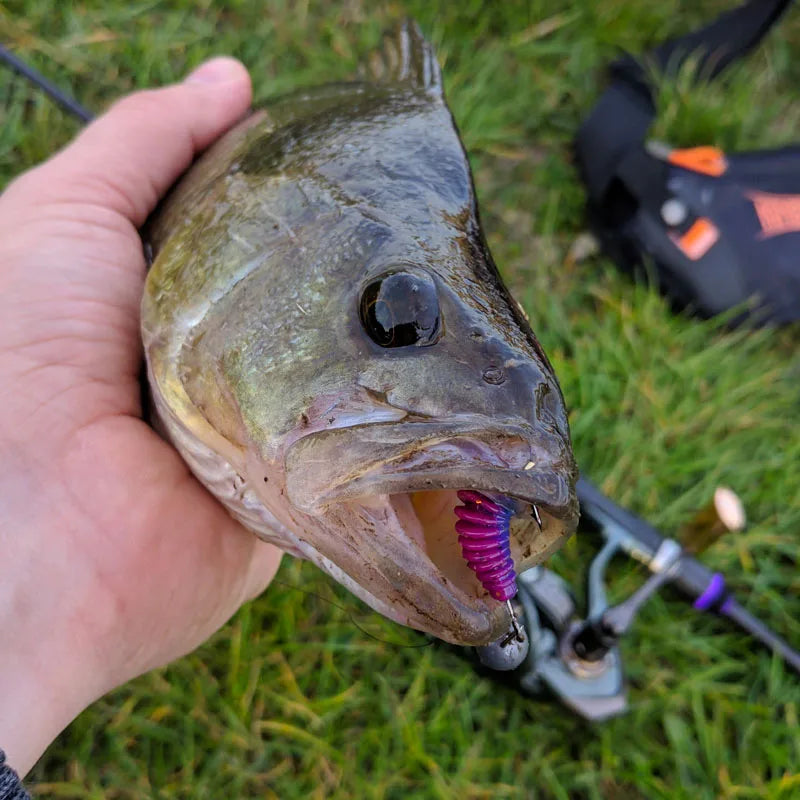 2023 Supercontinent worm bait soft bait Tanta 49mm 65mm fishing lures Pesca carp fishing bass lure Isca artificial PVA Beauty World Shop