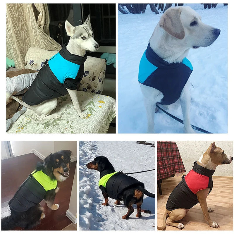 Winter Pet Dog Clothes Warm Big Dog Coat Puppy Clothing Waterproof Pet Vest Jacket For Small Medium Large Dogs Golden Retriever Beauty World Shop