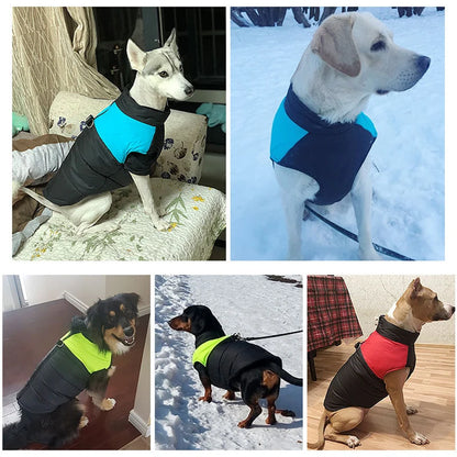 Winter Pet Dog Clothes Warm Big Dog Coat Puppy Clothing Waterproof Pet Vest Jacket For Small Medium Large Dogs Golden Retriever Beauty World Shop